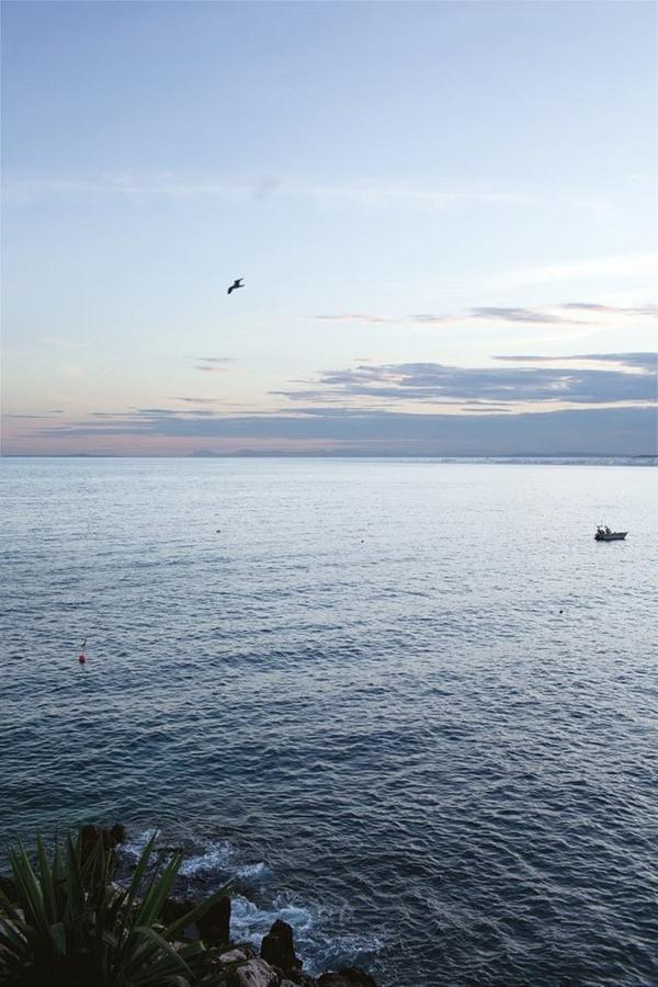 Le Gilly 6 - F3 Exceptionnel, Vue Mer, Moderne, Climatisation, Vieux-尼斯 外观 照片